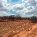 Arrendamento de terras para usinas